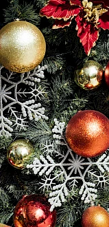 Tikka Masala Indian Fusion